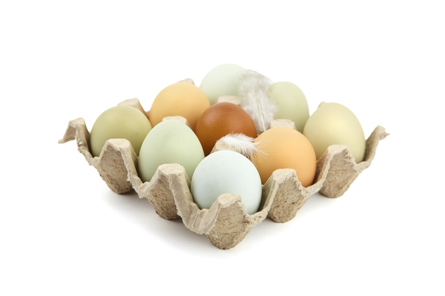 Eier vom Hof